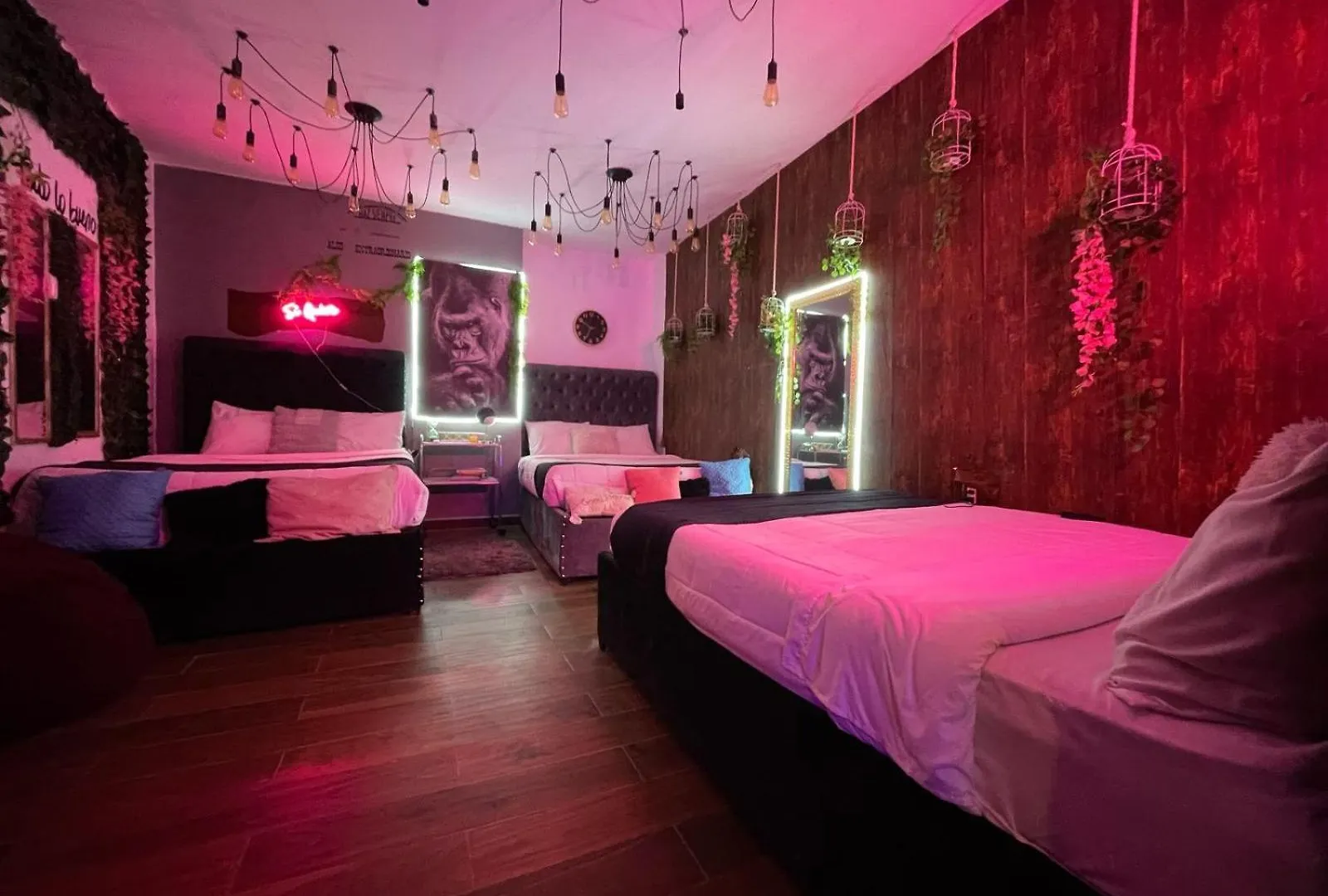 La Casa De Gusgus Villa Mazatlan Holiday home